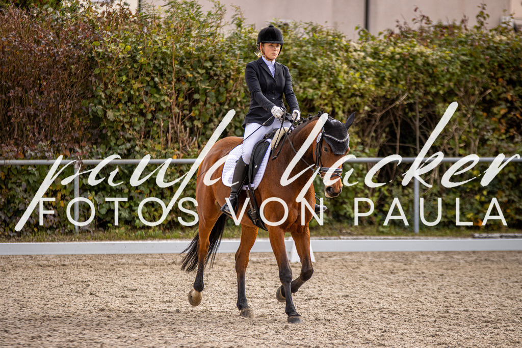 IMG_3391 | Erleben Sie dynamische Sport- und emotionale Tierfotografie in Süddeutschland mit Fotos von Paula. Spezialisiert auf Pferde- und Hundefotografie sowie Sportevents. Kontaktieren Sie mich für einzigartige und ausdrucksstarke Bilder Ihrer besonderen Momente.