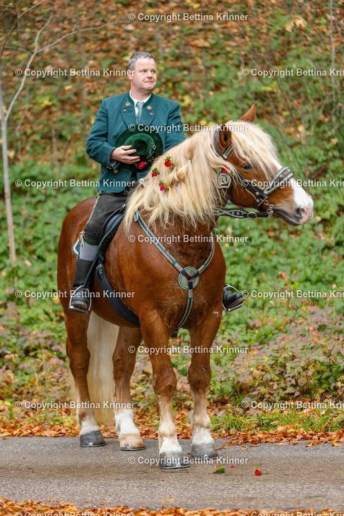 LL25-173 | foto-bettina-krinner - Realisiert mit Pictrs.com