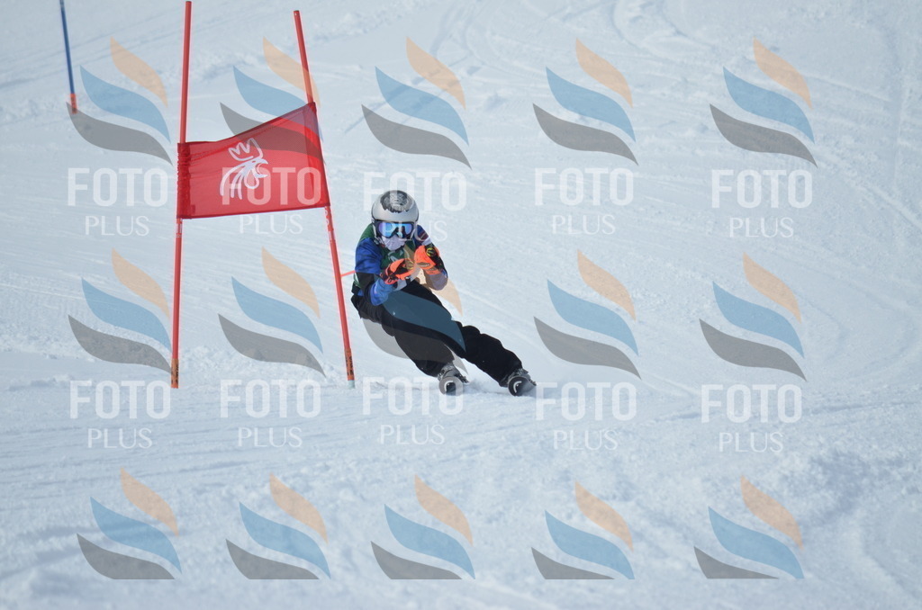 D8787 | holidayphoto