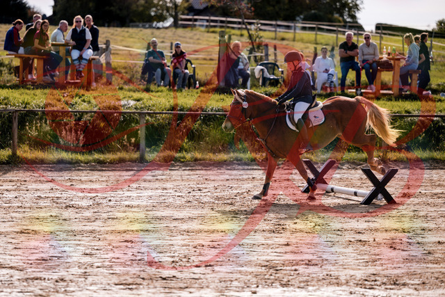 2026_10_03_Siefer-Hof_144706_Z81_23774454 | Professionelle Reitsport-, Turnier- und Eventfotografie von Robert Broda. Galerien mit ausgewählten und bearbeiteten Bildern direkt online ansehen und bestellen.