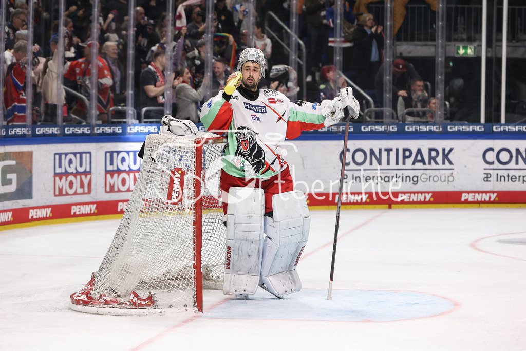 Eisbären Berlin - Augsburger Panther | Ein bedienter Dennis ENDRAS (AEV #44) nach dem Gegentor zum 2-3 / Einzelfoto / Freisteller