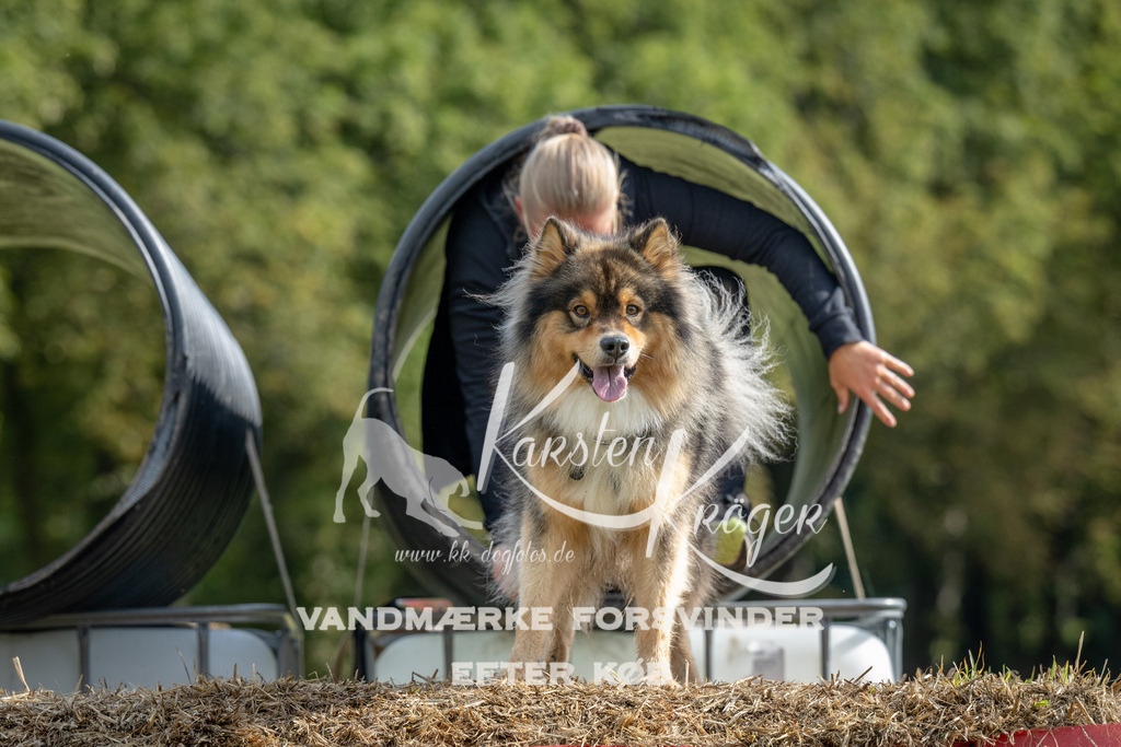 1027_ZZ92125 | kk-dogfotos