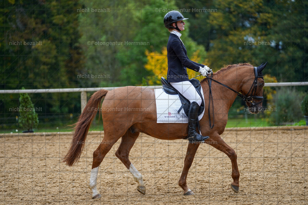 20221008-FAH01858 | Diessen am Ammersee, 2022, Dressur- und Springturnier, Reitsportbilder, Turnierfotografen Bayern, Pferdefotografen, Fotoagentur Herrmann, Turnierbilder