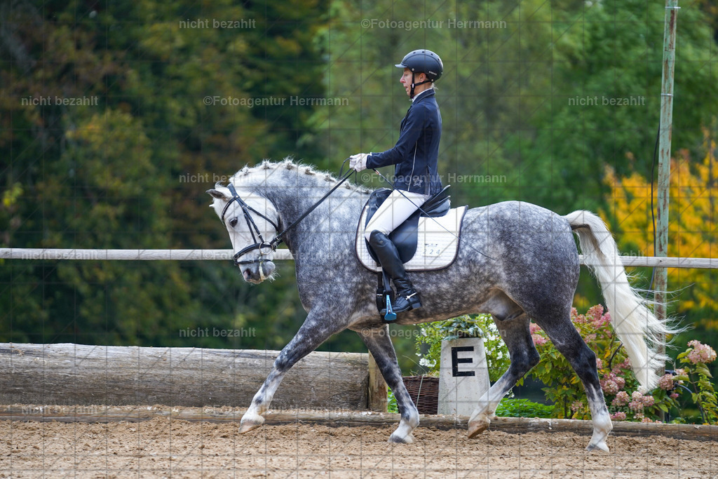 20221008-FAH00870 | Diessen am Ammersee, 2022, Dressur- und Springturnier, Reitsportbilder, Turnierfotografen Bayern, Pferdefotografen, Fotoagentur Herrmann, Turnierbilder