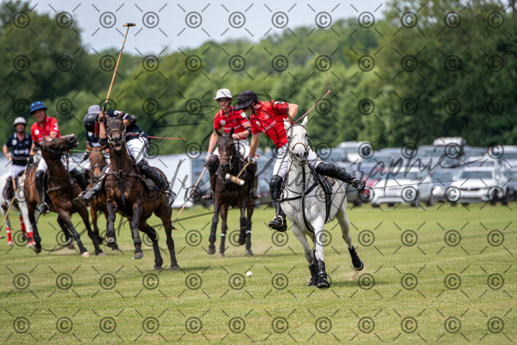 POL_3567 | andre_photographic