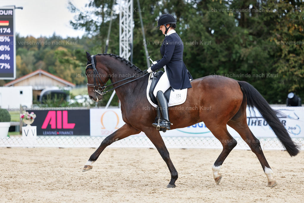 6-174-AMATUER-DRESSUR S_  -StoibPH-3484 | working equitationturnier fotograf videograf stoibphotography marixx film working equitation deutschland reitsport turnierfotografie eventfotografie equestrian events