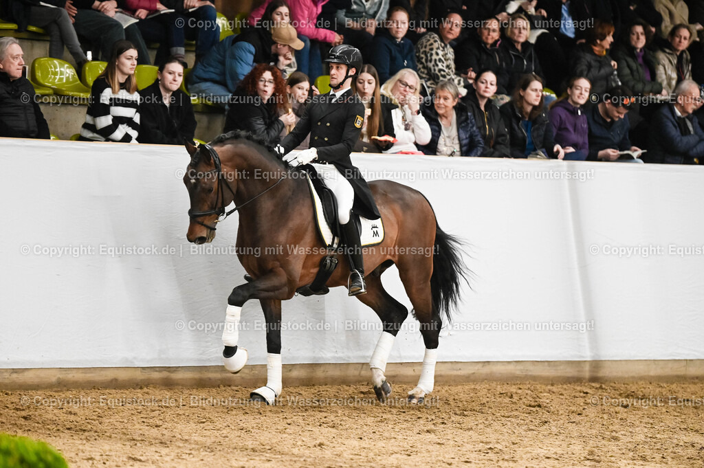 20260307_Hengstvorstellung-Marbach_0336 | equistock