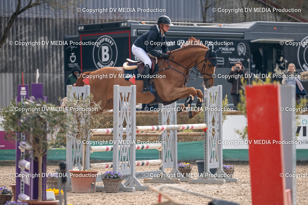 Kranichstein Tag 2-1621 | dv-media-shop - Realisiert mit Pictrs.com