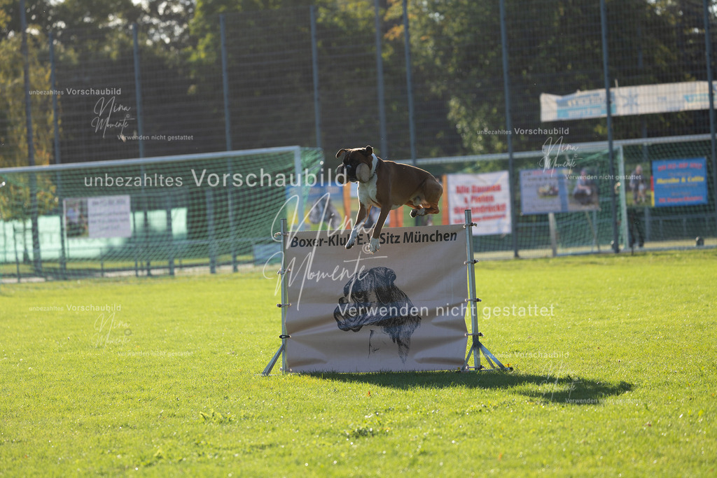 _16A4850 | Einzigartige Fotos von Hunden & Menschen –Actionfotos, Portraits, Vereinsaufnahmen & Paarshootings – authentisch, lebendig & mit Herz.