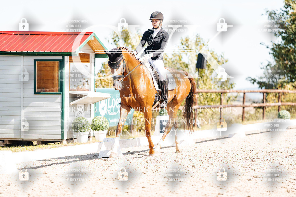 CK909541 | Turnierfotografie Pferdefotografie Trier Rheinland-Pfalz Pferdesport Reitsport Tierfotografie Sportfotografie Pferdevideo Pferdevideografie Equestrianvideography equestrianphotography  - Realisiert mit Pictrs.com