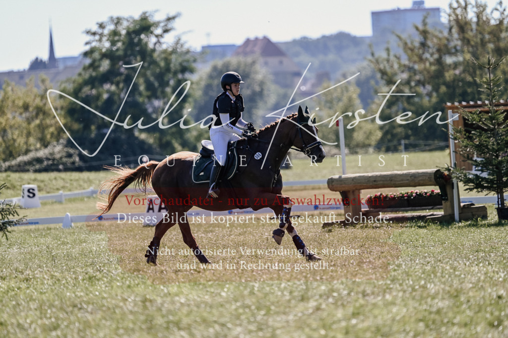 DSC_3145 | Pferde- und Turnierfotografie in Westsachsen. Pferdeportraits, Auftragszeichnungen und intuitive Kunst.