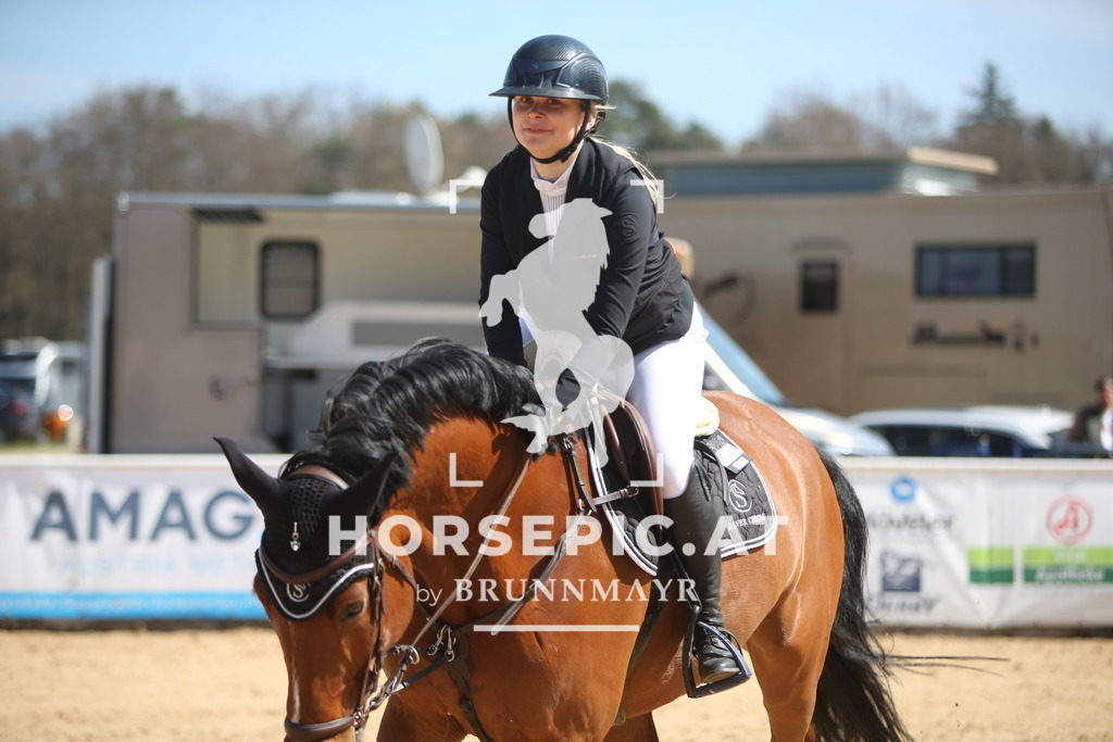 PP014872 | Willkommen bei Brunnmayr - Design & Fotografie – Ihrem Spezialisten für Reitturniere und Pferdeveranstaltungen in Oberösterreich, Salzburg und Bayern! Seit über 17 Jahren sind wir leidenschaftlich dabei.