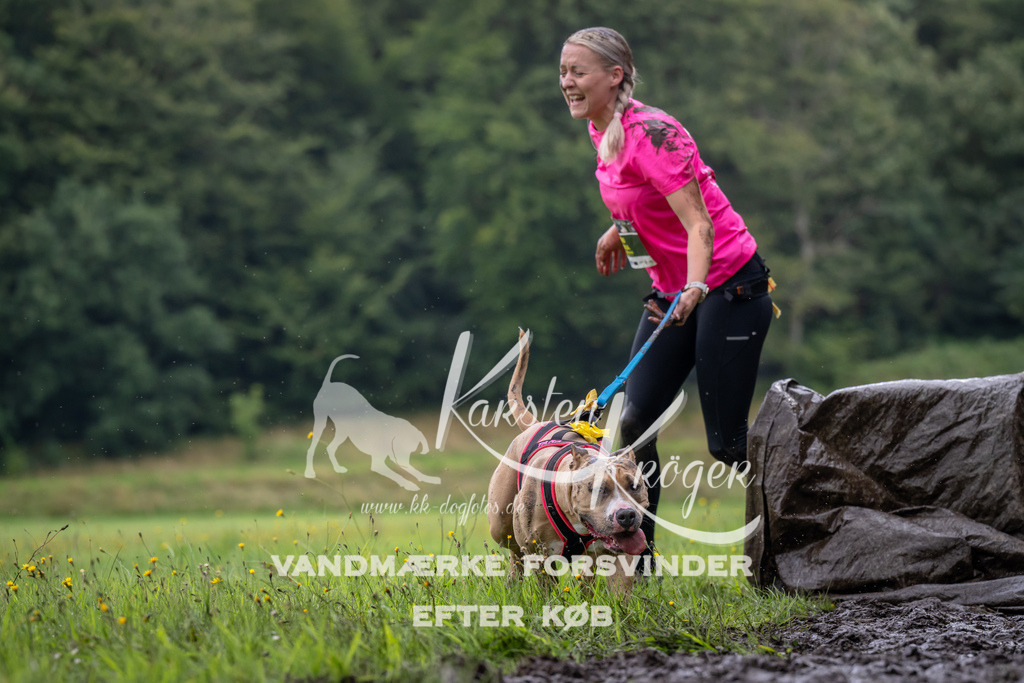 0916_ZZ90721 | kk-dogfotos