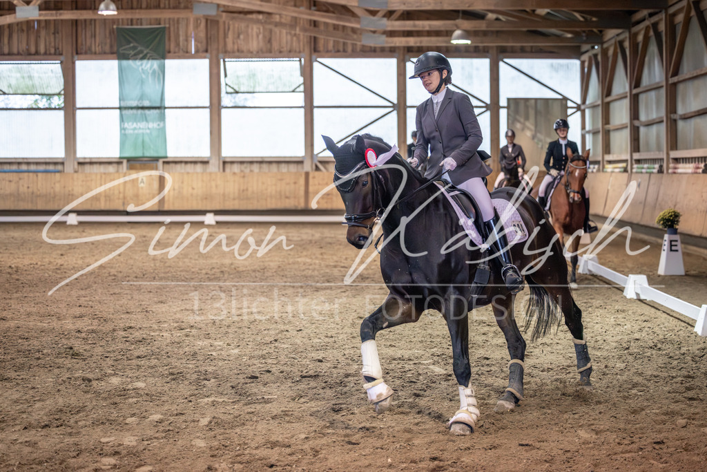 20251011-_3LI2351 | Tierfotografie Pferde, Hunde, Katzen, Haustiere.
Turnierfotografie Reitturniere, Reiten, Springreiten, Dressur in Hanau, dem Main-Kinzig-Kreis und dem Rhein-Main- Gebiet um Frankfurt