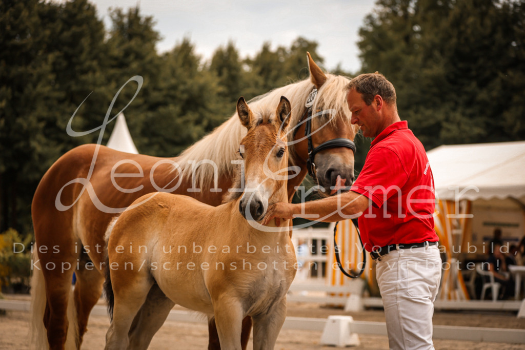 SaSF00044 | Leoni Ertmer Photography - Realisiert mit Pictrs.com