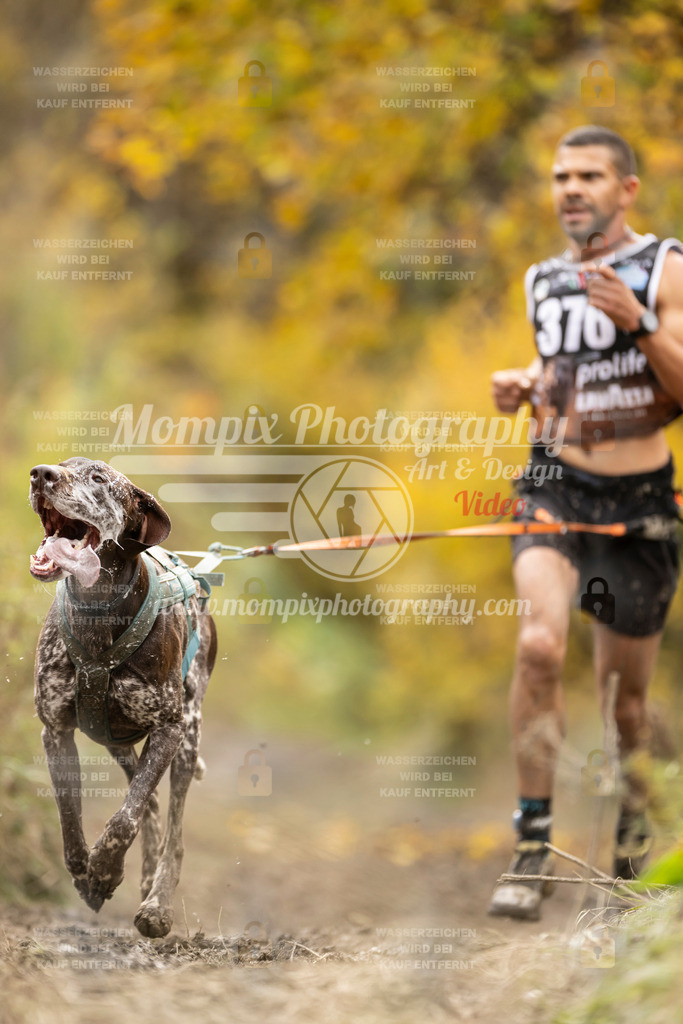 MompixPhotography_ICF_WC_2024_SA_Run_-314 | PayLife