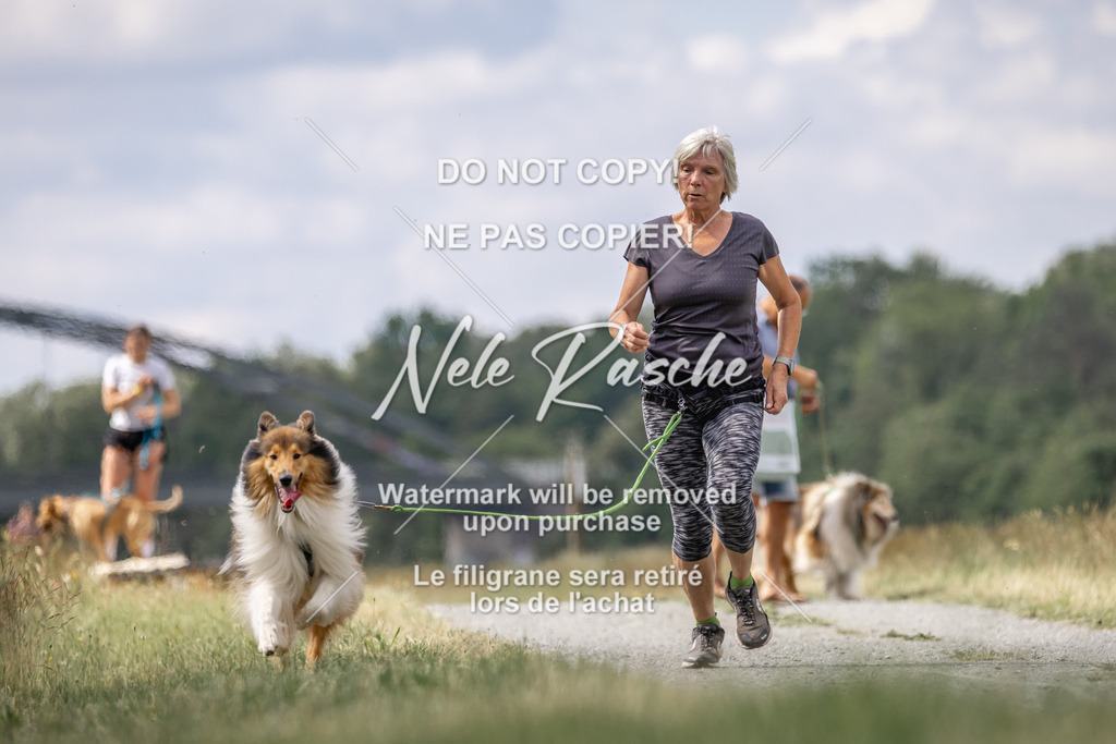 nelerasche_BuHu2026_SaCC1100-1200_02 | nelerasche