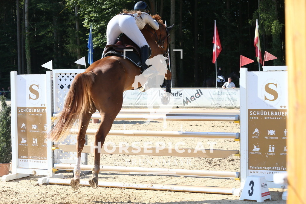 DL2Q2048 | Willkommen bei Brunnmayr - Design & Fotografie – Ihrem Spezialisten für Reitturniere und Pferdeveranstaltungen in Oberösterreich, Salzburg und Bayern! Seit über 17 Jahren sind wir leidenschaftlich dabei.