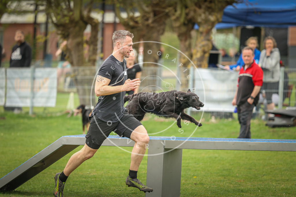 Pfotenfotografie_0L8A2013 | Hundefotografie, Tierfotograf, Pfotenfotografie, Fotoshooting Hund, Hunde Portrait, Hundesport, Hundeportraits, Heideshooting, Hunde, Sportfotograf, Hundefotograf, Turnierhundsport, THS,  - Realisiert mit Pictrs.com