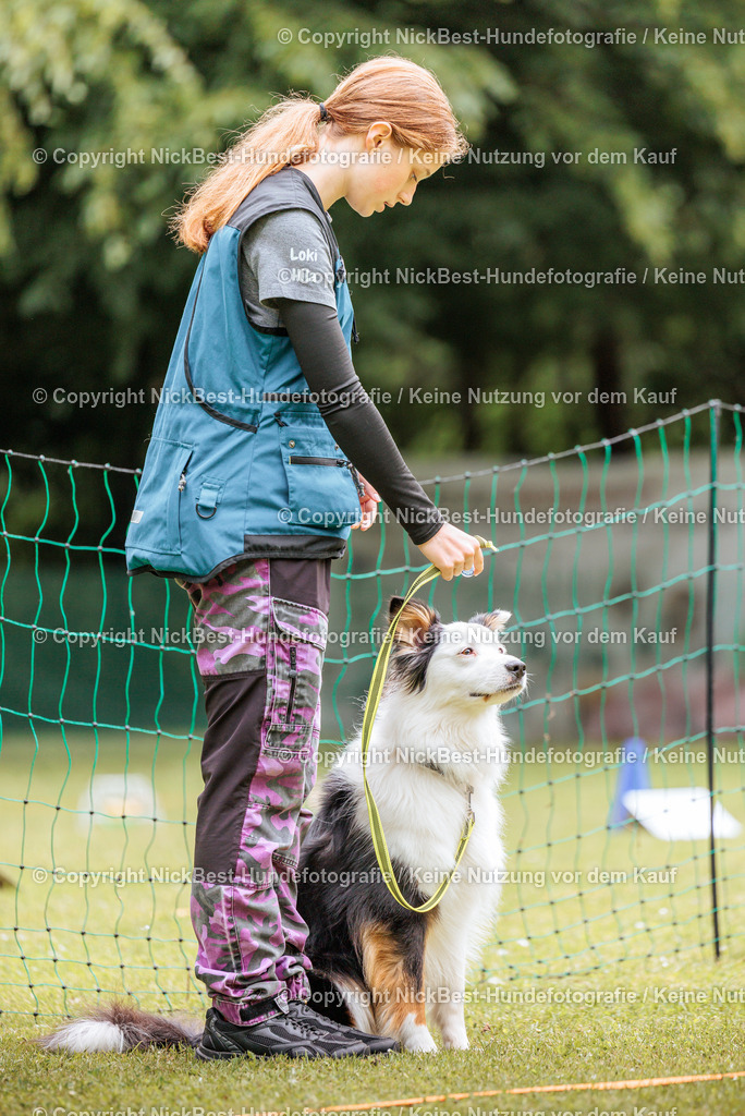 RO-Blumenthal-2026-Nickbest-Hundefotografie-2184 | Dein Hund! Dein Moment! Deine Erinnerungen! Hundefotografie in Bremen Blumenthal. Ich fange die besonderen Momente deines Vierbeiners ein – ob Indoor mit Blitzanlage oder in der freien Natur. Sicher dir dein Moment und dein Termin für eure Erinnerungen.