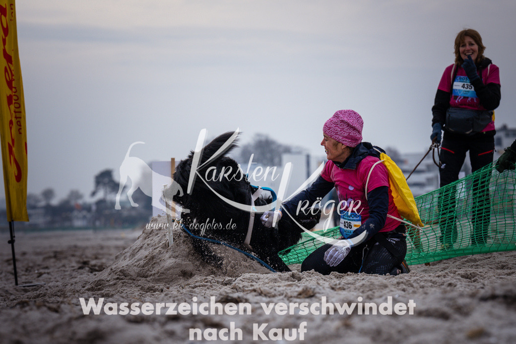 1219_ZZ93451 | kk-dogfotos
