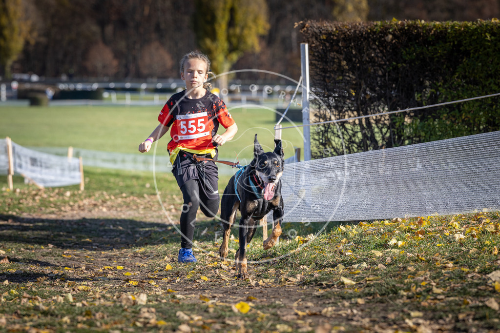 CaniXpix_DV3A8538 | Hundefotografie, Tierfotograf, Pfotenfotografie, Fotoshooting Hund, Hunde Portrait, Hundesport, Hundeportraits, Heideshooting, Hunde, Sportfotograf, Hundefotograf, Turnierhundsport, THS,  - Realisiert mit Pictrs.com