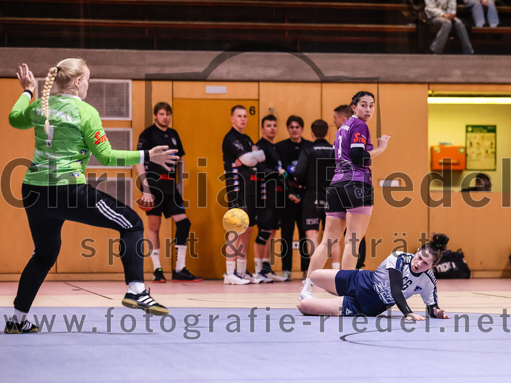 2024-11-24_043_SpVgg_Altenerding_gegen_HC_Donau-Paar_II | Erding, Deutschland, 24.11.2024:Handball, Bezirksoberliga Frauen Altbayern 2024 / 2024, 6. Spieltag, SpVgg Altenerding gegen HC Donau/Paar II, Endergebnis: 24:24Torfrau Hanna Obermair (SpVgg Altenerding, #1), Michelle Gruber (SpVgg Altenerding, #7), Julia Fuchs (HC Donau/Paar, #66)Foto: Christian Riedel / fotografie-riedel.net
