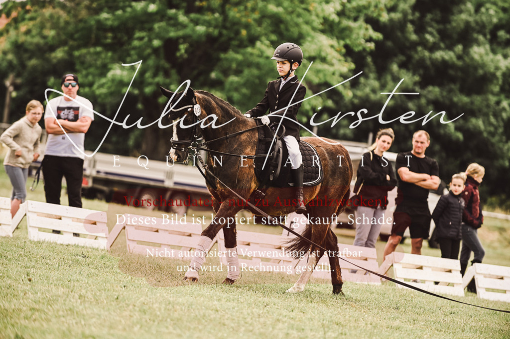 DSC_5339 | Pferde- und Turnierfotografie in Westsachsen. Pferdeportraits, Auftragszeichnungen und intuitive Kunst.