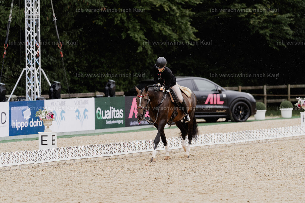 Virginie12FHC2025-8378 | working equitationturnier fotograf videograf stoibphotography marixx film working equitation deutschland reitsport turnierfotografie eventfotografie equestrian events