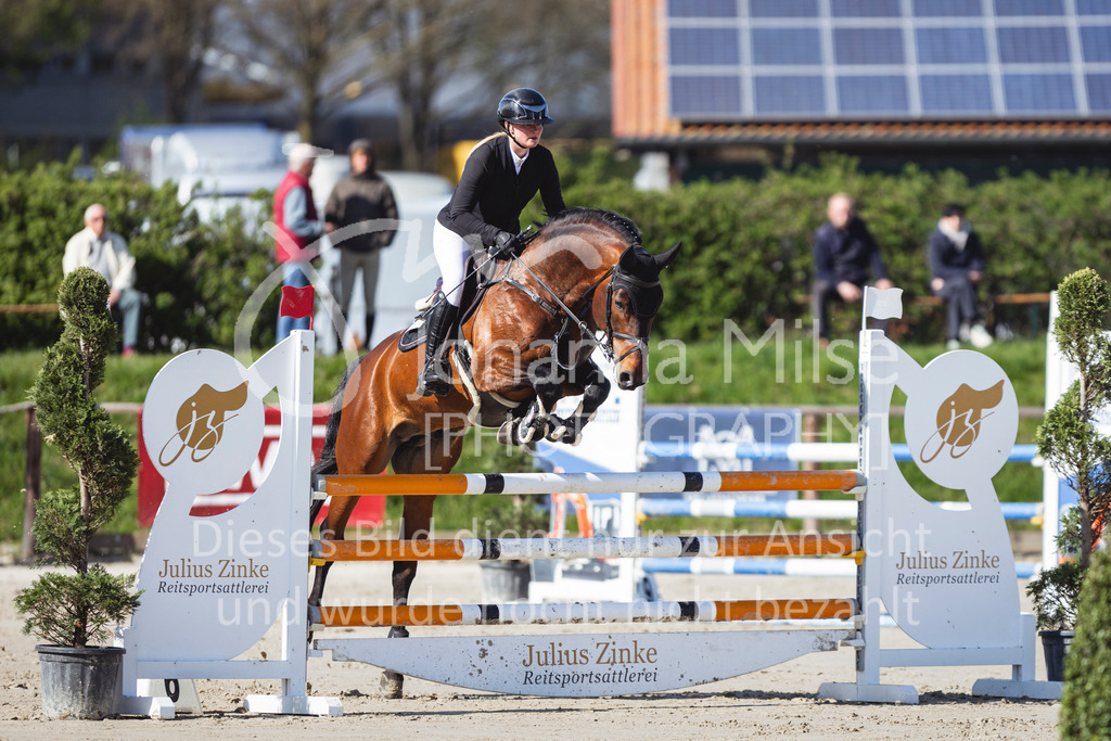 260421_Frühlingsfest_4_SprPf-L-408 | Deine schönsten Turniermomente als professionelle Fotos! Entdecke hochwertige Pferdesport-Fotografie im Online-Shop. Jetzt Fotos finden & bestellen!