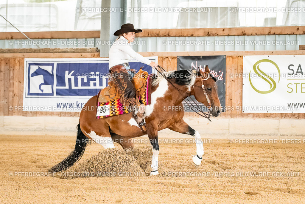 DSC01942 | Pferdegrafie