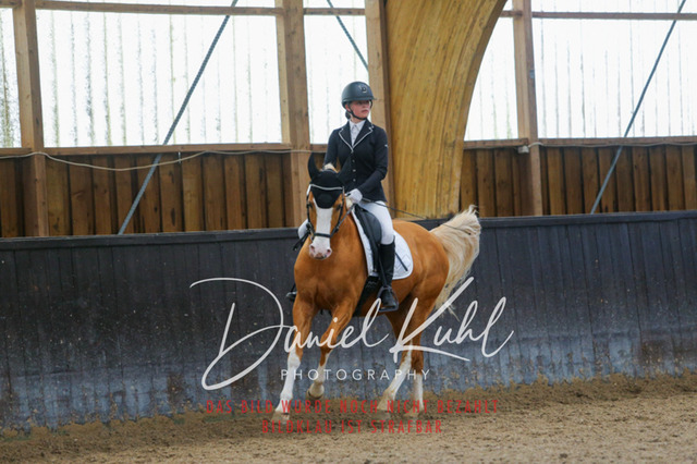 IMG_0564 | Turniersportfotografie; Pferdefotografie; Dressurfotografie