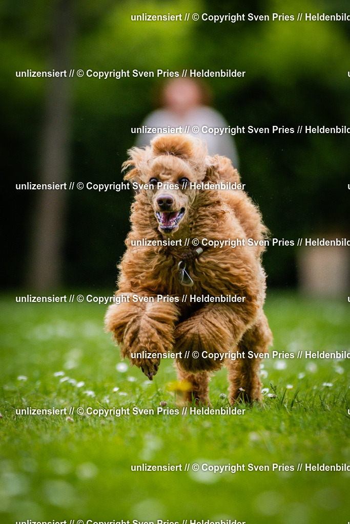 Sven Pries | 2025-05-29 - Pudelrennen KA-Durlach - Realisiert mit Pictrs.com