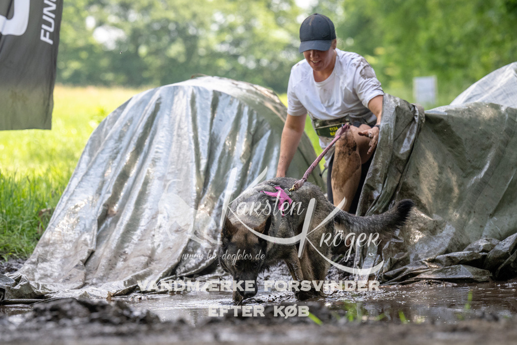 1215_ZZ91896 | kk-dogfotos