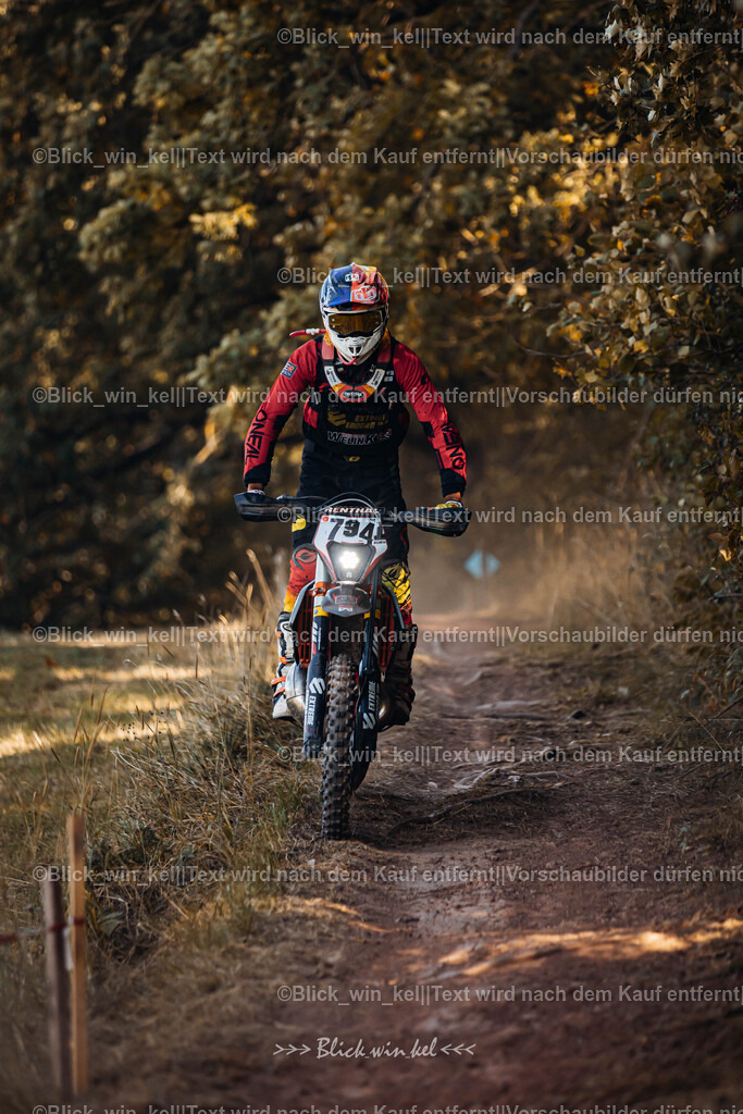 E68A6445 | blick_win_kel