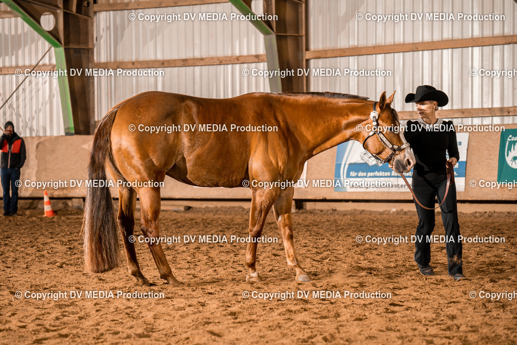 BAL01370 | dv-media-shop - Realisiert mit Pictrs.com