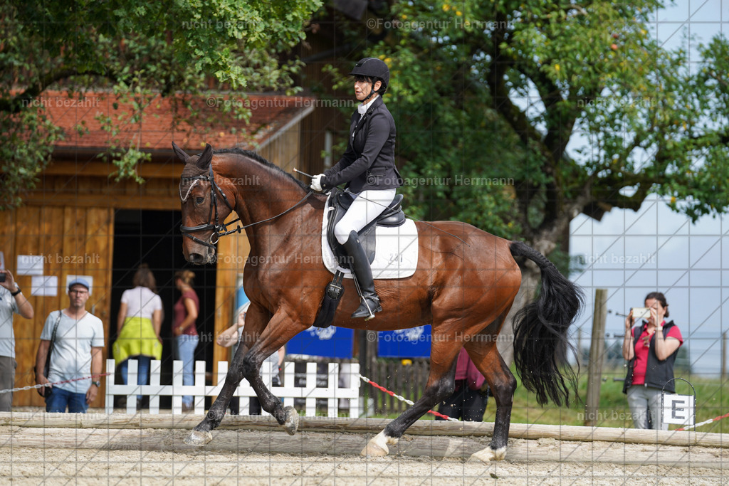 20230826-FAH05134 | Forstinning, 2023, Dressurturnier, Turniersportbilder, Turnierfotografen Bayern, Fotoagentur Herrmann, Reitsportfotografie, Turnierbilder
