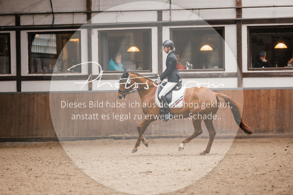 3I6A7806 | Stimmungsvolle Portraits und Reitsportfotografie im Ruhrgebiet und im Münsterland.

Pferdefotografie, Hundefotografie, Tierfotografie, Reportagen, Portraits von Tier und Mensch, Turnierfotografie in Bochum, Recklinghausen, Marl, Haltern am See, Dülmen.. - Realisiert mit Pictrs.com