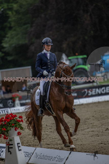 25.7.25 D1 39 (219 von 316) | mandyhollmannphotographie