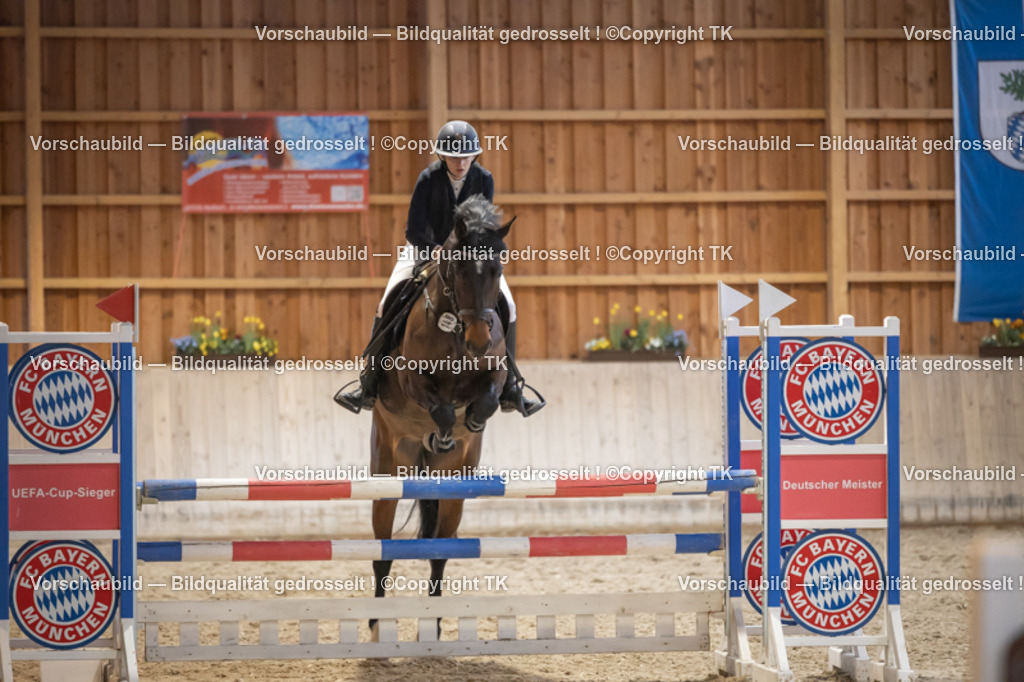 _D5A8806 | Emotionale Pferde- & People-Fotografie rund um Heidelberg, Leimen & Umgebung. Natürliche Fotos von Pferd, Mensch & Familie. Jetzt Termin sichern!