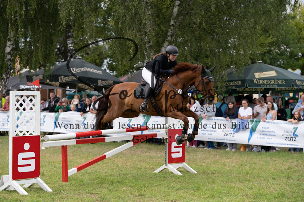 A7V05918 | Pferdefotograf