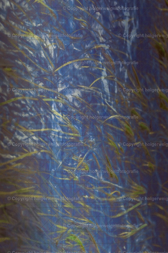 Unterwasser | Kaufen sie online außergewöhnliche Fotografien auf Leinwand Acrylglas Fotoprint Aludibond von holgerweigeltfotografie - Realisiert mit Pictrs.com