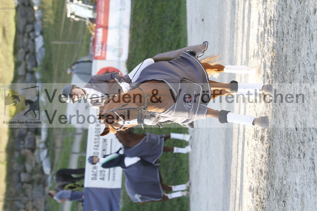 _MG_3352 | equestrian-live-com