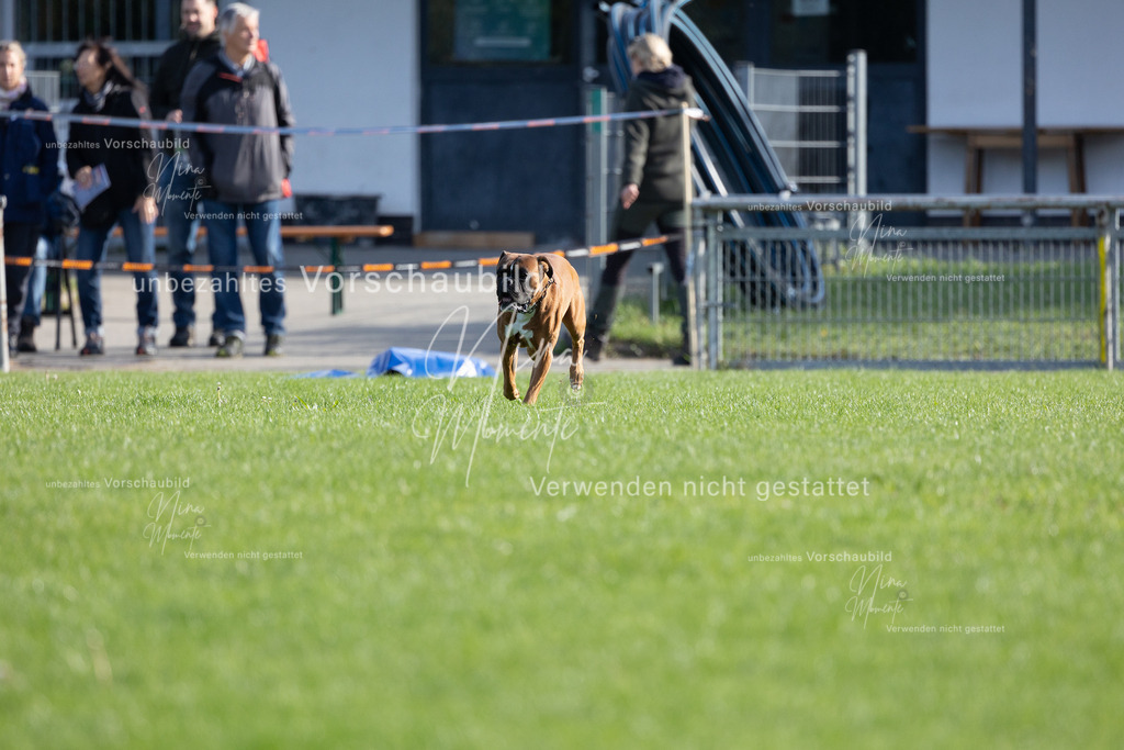 _16A6573 | Einzigartige Fotos von Hunden & Menschen –Actionfotos, Portraits, Vereinsaufnahmen & Paarshootings – authentisch, lebendig & mit Herz.