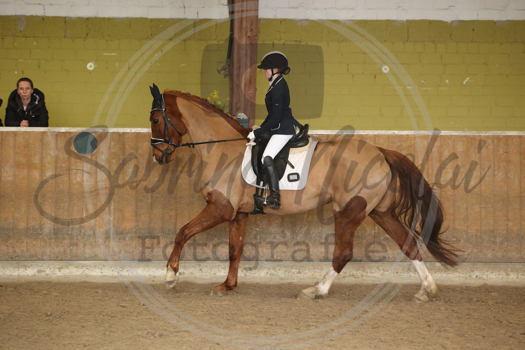 994A9090 | sabrinanicolaifotografie - Realisiert mit Pictrs.com