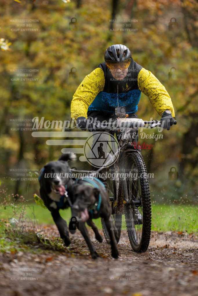 MompixPhotography_Bischwiller23_Bike2-4 | mompixphotography