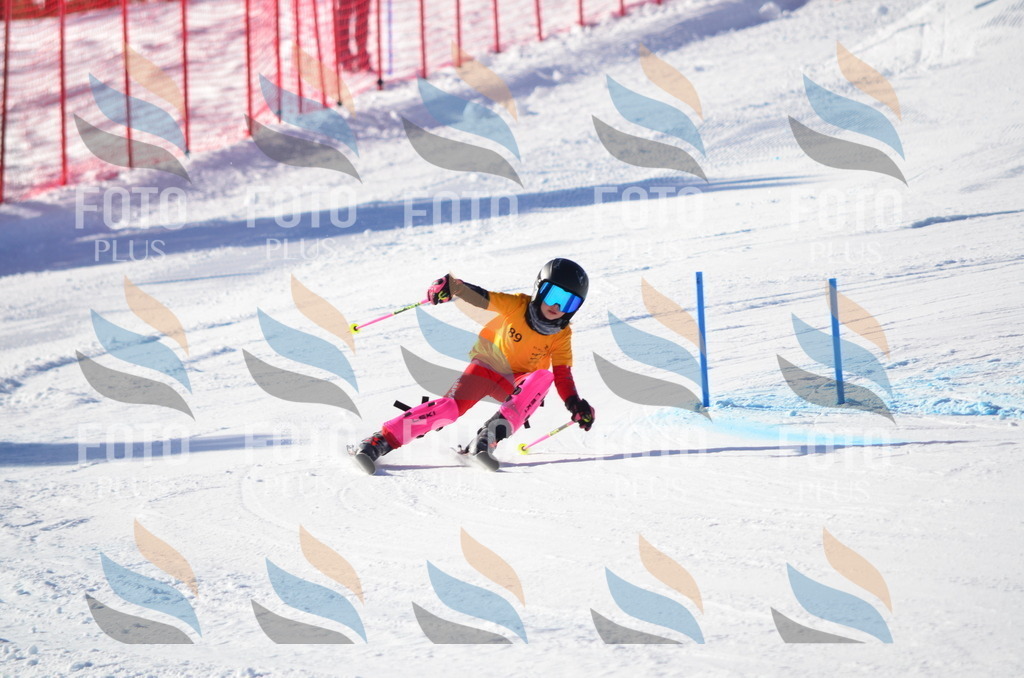 C6053 | holidayphoto