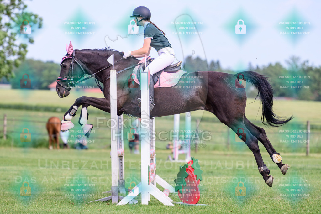 30052026-Forstinning-Prfg20-0355 | Fokus Hufschlag Fotografie - Realisiert mit Pictrs.com