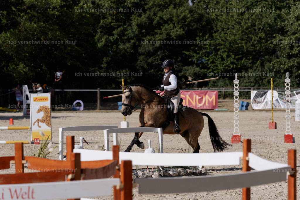 WS_SP_75_SinaFilmArt_IN09058 | working equitationturnier fotograf videograf stoibphotography marixx film working equitation deutschland reitsport turnierfotografie eventfotografie equestrian events