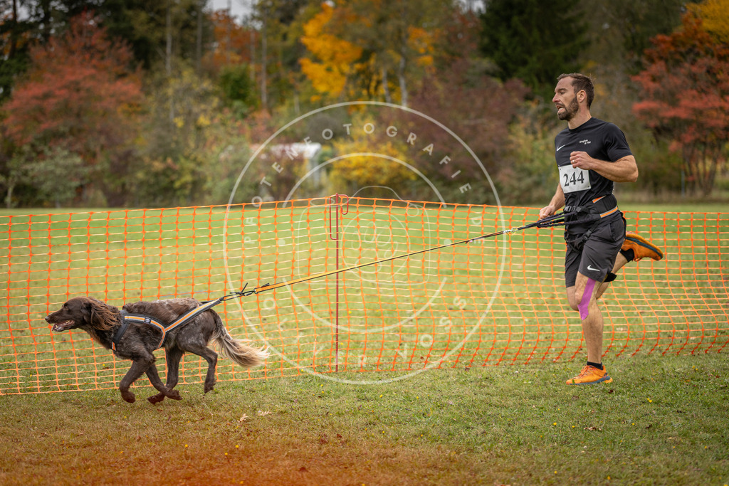 Pfotenfotografie_DV3A4275 | Hundefotografie, Tierfotograf, Pfotenfotografie, Fotoshooting Hund, Hunde Portrait, Hundesport, Hundeportraits, Heideshooting, Hunde, Sportfotograf, Hundefotograf, Turnierhundsport, THS,  - Realisiert mit Pictrs.com